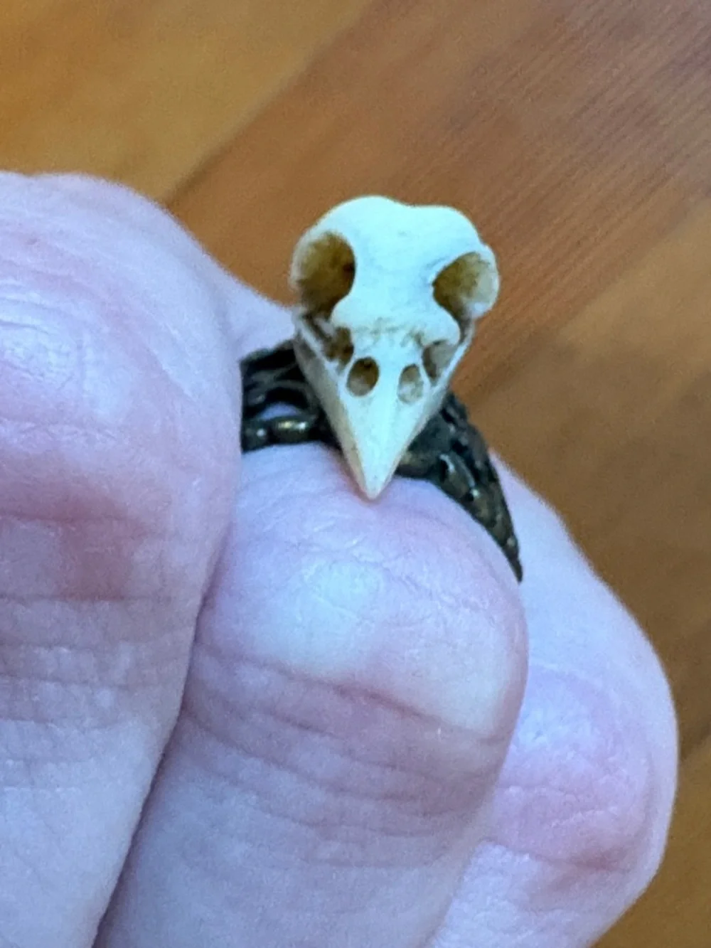 Hand-Crafted Adjustable Bird Skull Ring with Antique Brass Band - Cream & Brass